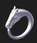 horse ring 2