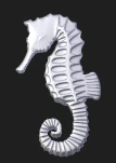 seahorse more rounded
